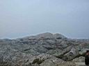 IMG_932.jpg